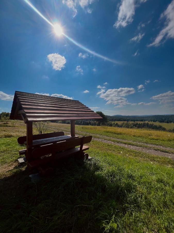 Domki U Bejdaka 789- 039 - 689 Villa Bereznica Wyzna Buitenkant foto