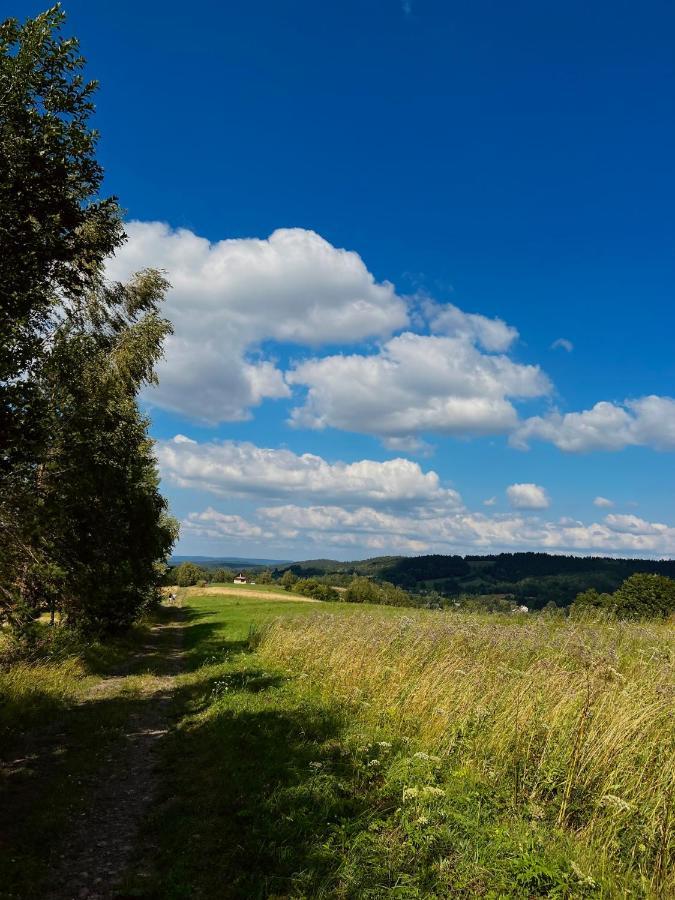 Domki U Bejdaka 789- 039 - 689 Villa Bereznica Wyzna Buitenkant foto